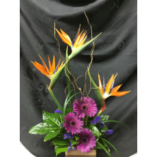 Arrangement funéraire