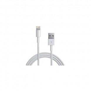 Câble Apple Lightning à USB