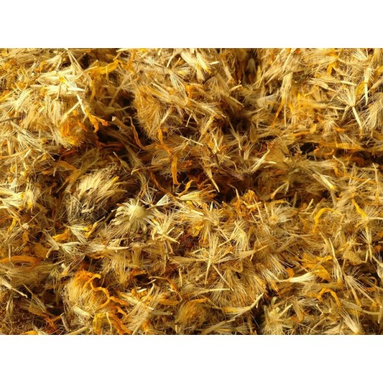 Fleurs d'Arnica