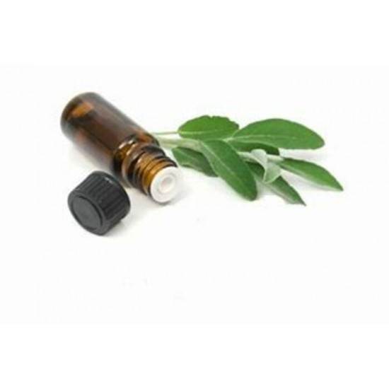 Huile essentielle de Sauge officinale