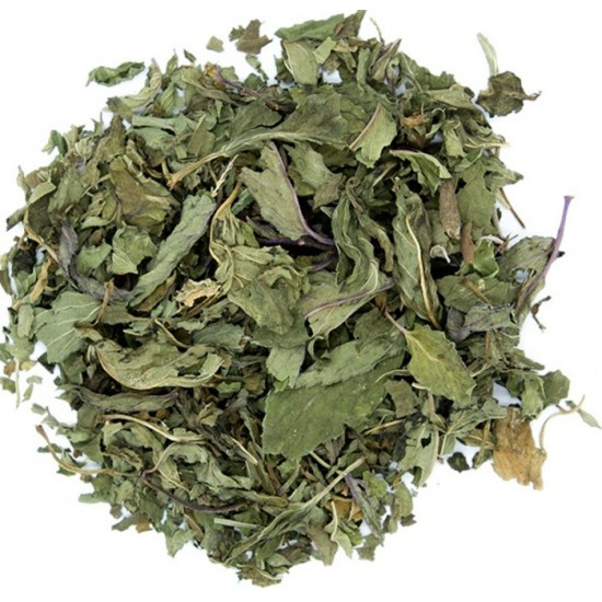 Feuilles de menthe verte