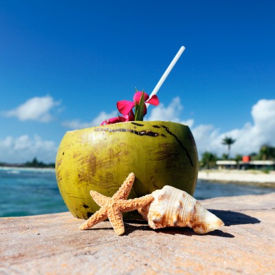 Fragrance Noix de coco des caraibes