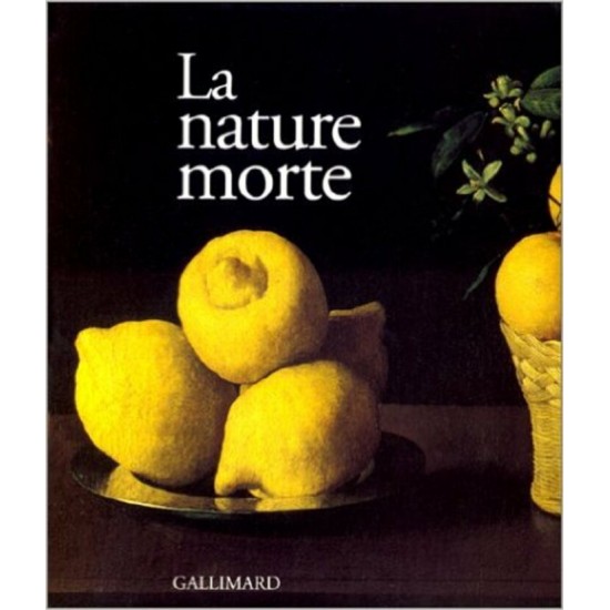 Nature Morte  collectif Guide sur la peinture