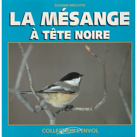 La mésange à tête noire Suzanne Brulotte
