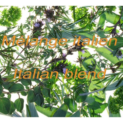 MÉLANGE ITALIEN