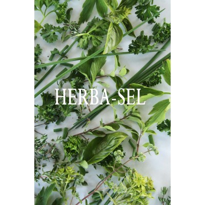 HERBA-SEL VRAC 200g