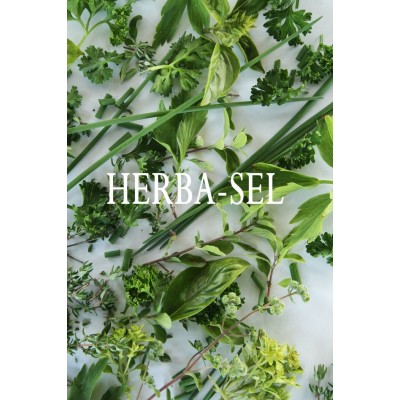 HERBA-SEL VRAC 100g