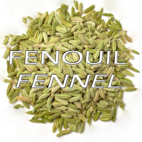 FENOUIL (Foeniculum vulgare) graines entières