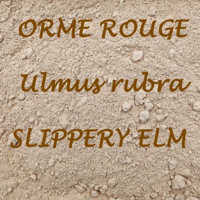 TISANE BIO ORME ROUGE (Écorce /Poudre) / Ulmus...