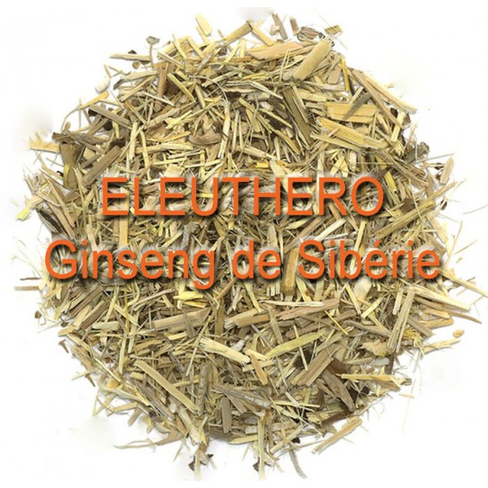 TISANE BIO ELEUTHÉRO (Ginseng de Sibérie) (Eleutherococcus senticosus)