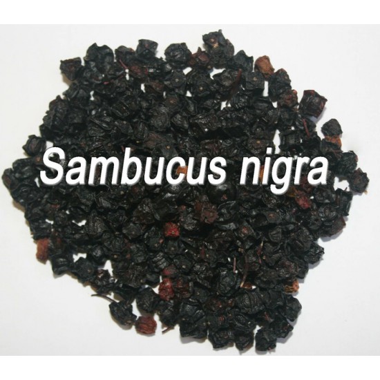 TISANE BIO SUREAU NOIR (Sambucus nigra) / FRUITS