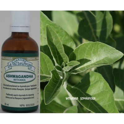 ASHWAGANDHA, Teinture bio, (Withania somnifera) 