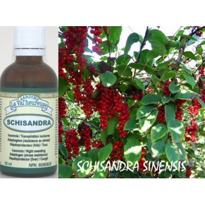 SCHISANDRA, TEINTURE BIOLOGIQUE, Schisandra...