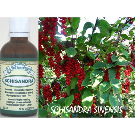 SCHISANDRA, TEINTURE BIOLOGIQUE, Schisandra...