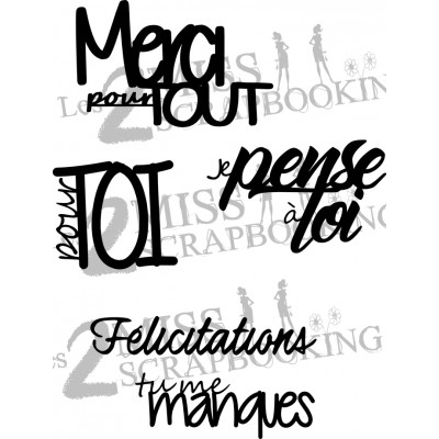 Kit Voeux1