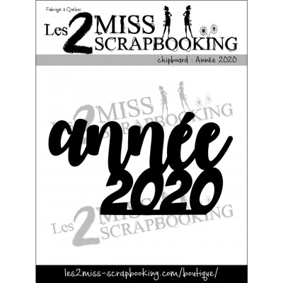 Année 2020 Année 2020