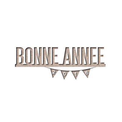 Bonne année 2016