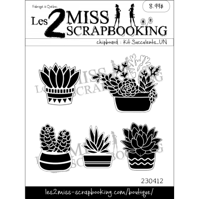 Kit succulents_Un