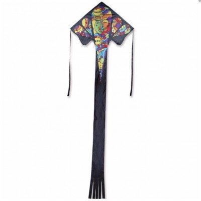 CERF-VOLANT RAINBOW ORBIT