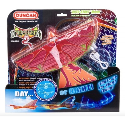 OISEAU VOLANT DRAGON