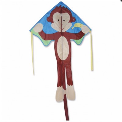 CERF-VOLANT SINGE