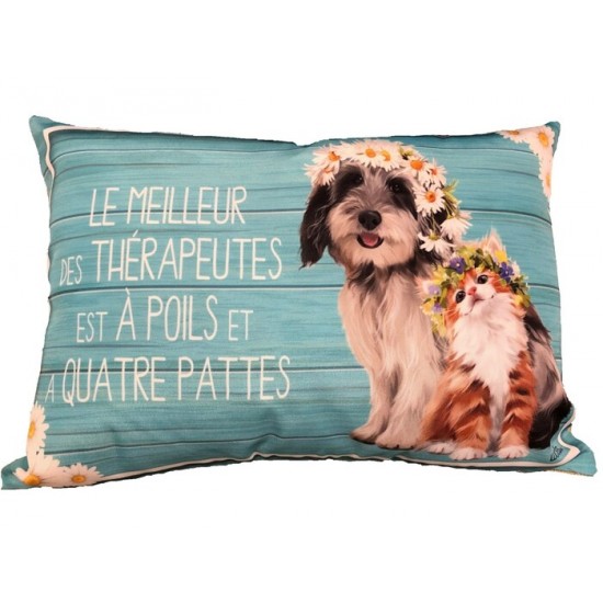 COUSSIN LE MEILLEUR DES THÉRAPEUTES