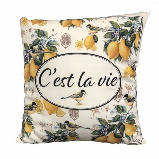 COUSSIN C'EST LA VIE