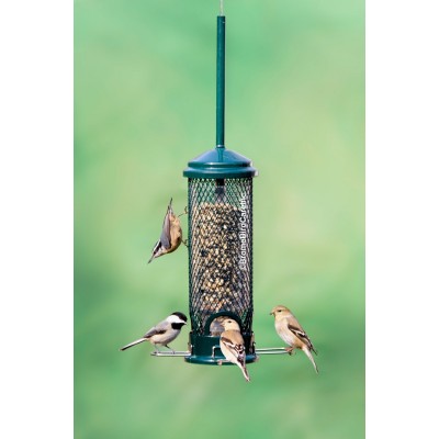 MANGEOIRE SQUIREL BUSTER MINI