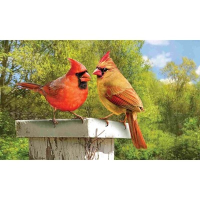 TAPIS CARDINAL