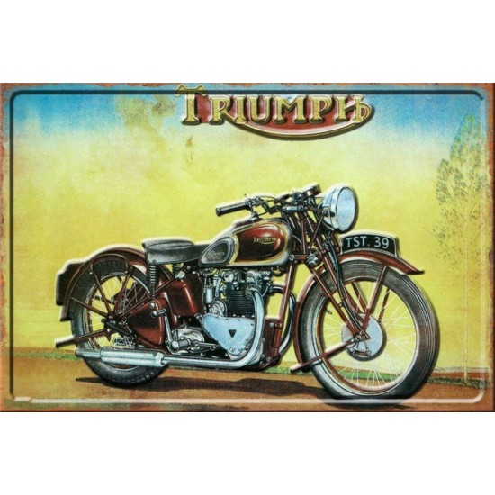 TRIUMPH 3D