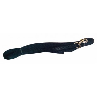 Laisse de rappel 3/8’’ X 15'