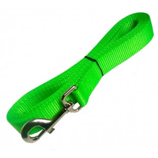 Laisse de rappel 1'' X 10'