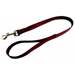 Laisse simple 3/4'' X 24''