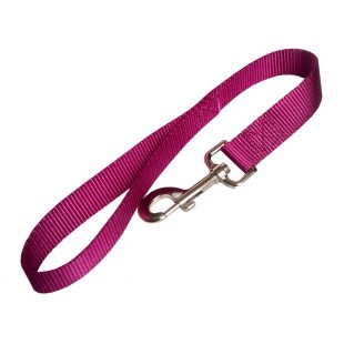 Laisse simple 1'' X 18''