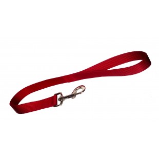Laisse simple 1'' X 24''