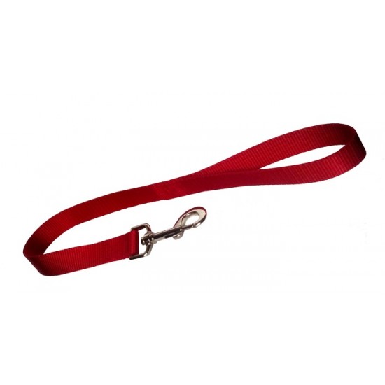 Laisse simple 1'' X 24''