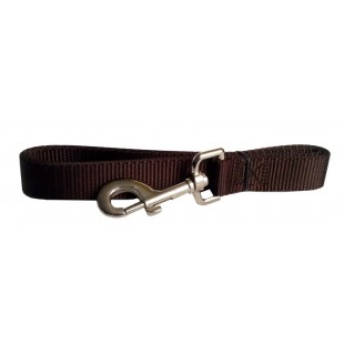 Laisse simple 1'' X 72''