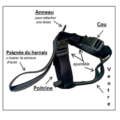 Harnais d'auto ajustable XX-Grand