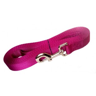 Laisse de rappel 1'' X 15'