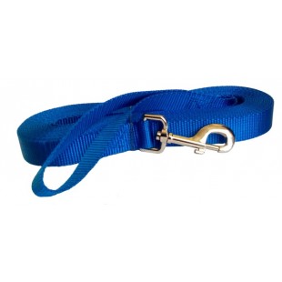 Laisse de rappel 1'' X 25'