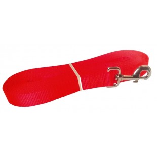 Laisse de rappel 1'' X 30'