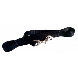 Laisse de rappel 3/4'' X 15'