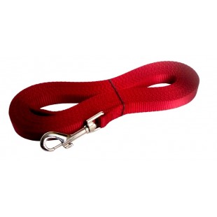 Laisse de rappel 3/4'' X 20'