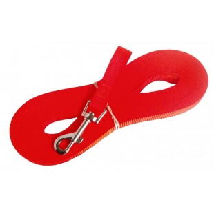 Laisse de rappel 3/4'' X 30'