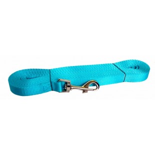 Laisse de rappel 3/4'' X 40'