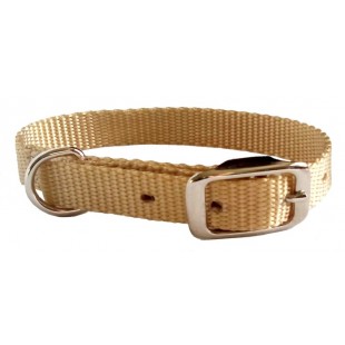 Collier simple avec boucle style ceinture 3/8'' X...