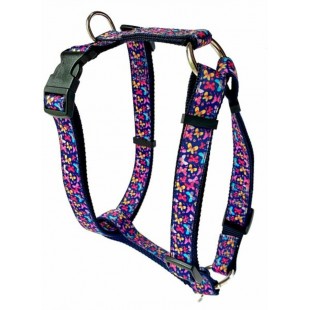 Harnais ajustable 1'' à motifs Papillons pour...