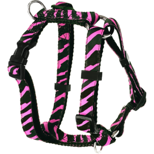 Harnais ajustable 5/8'' à motifs Zébré pour...
