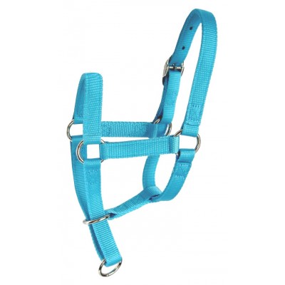Licou cheval miniature