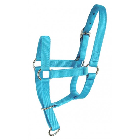 Licou cheval miniature
